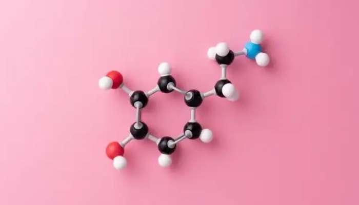 dopamin-hormonu-nedir