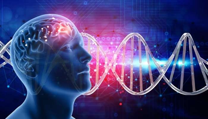 Dopamin Hormonu Nedir