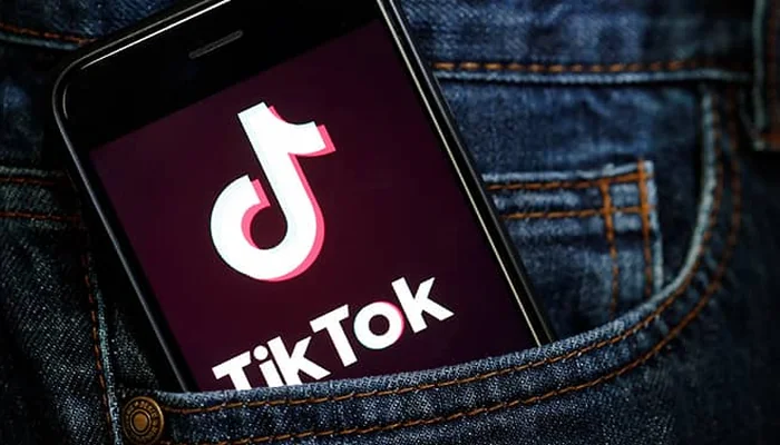 tiktok-ne-kadar-internet-yer